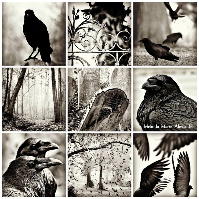 chapter five part 4 with textjpg